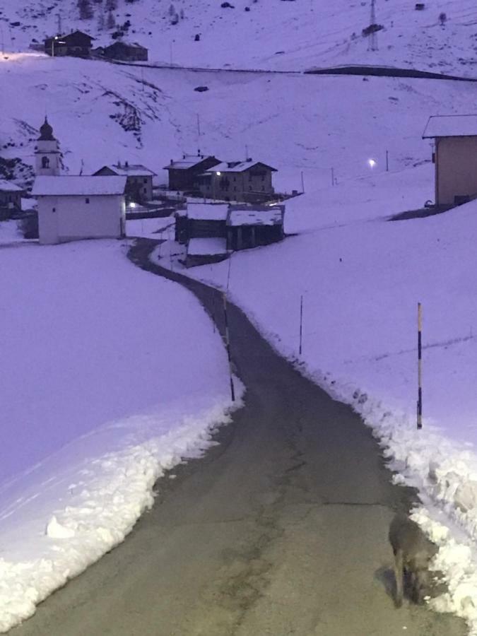 Baita Mattia Livigno Zewnętrze zdjęcie